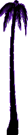 palmtree.gif (2427 bytes)
